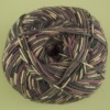 WYS - Signature 4 Ply - Country Birds - 864 Wood Pigeon